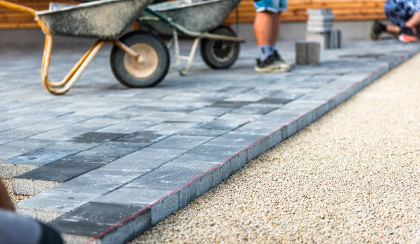 Best Local Driveway Pavers  in Pecan Acres, TX