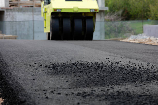 Best Residential Paver Driveway  in Pecan Acres, TX