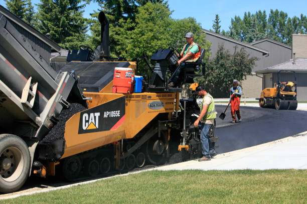 Best Local Driveway Pavers  in Pecan Acres, TX